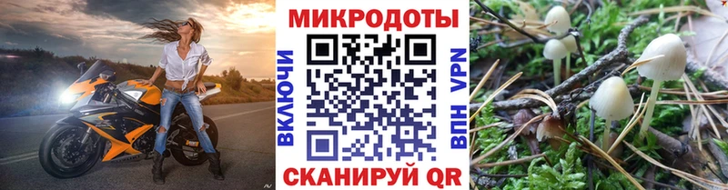 мега онион  Пересвет  Псилоцибиновые грибы Psilocybe 