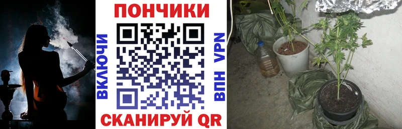 Шишки марихуана Bruce Banner  даркнет сайт  Пересвет 